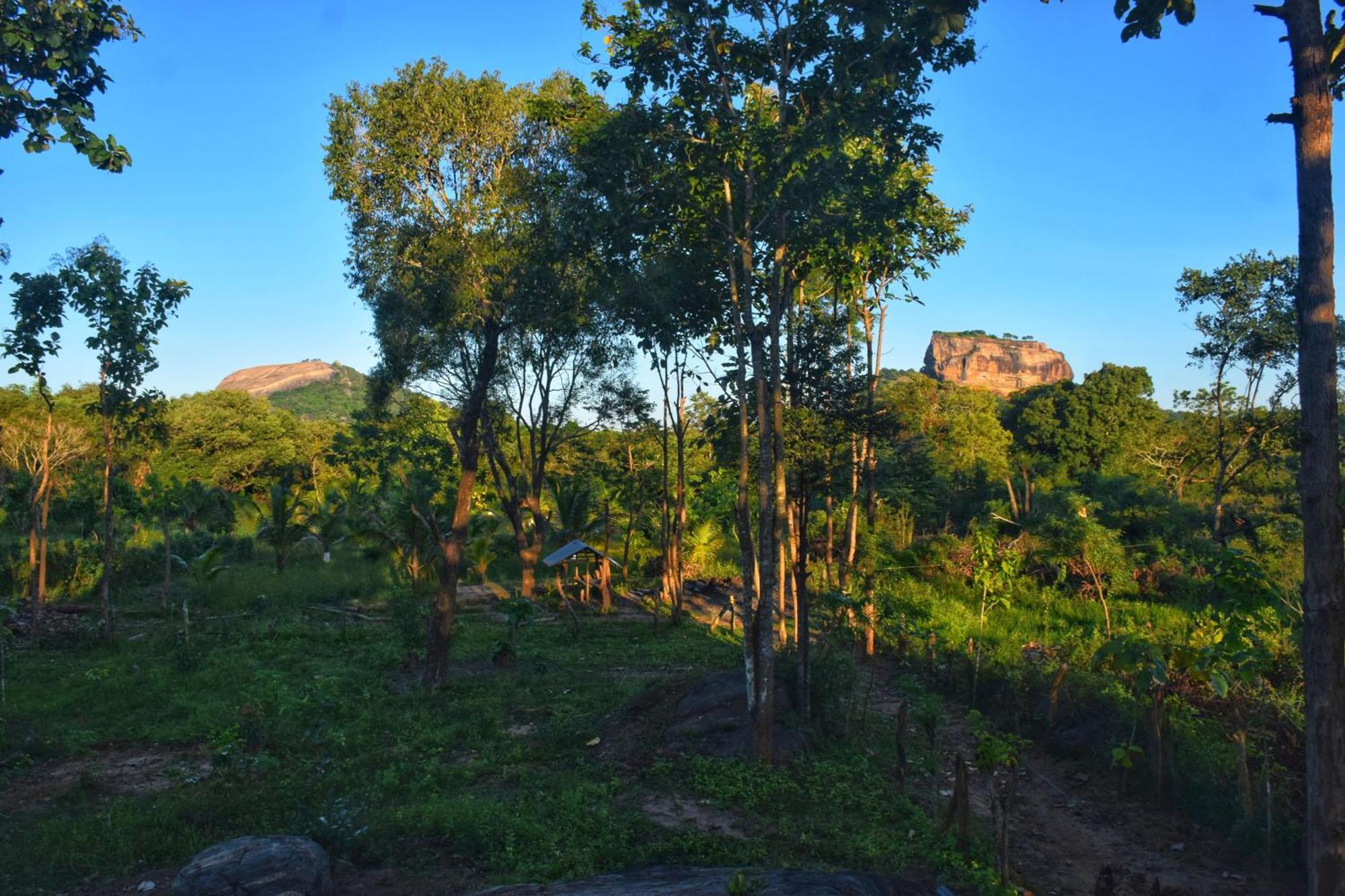 Sigiri Saat Cabana Sigiriya Exterior photo